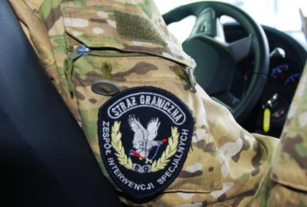 Interwencje w portach lotniczych. SG interweniowali dwukrotnie wobec agresywnego obywatela Gruzji 